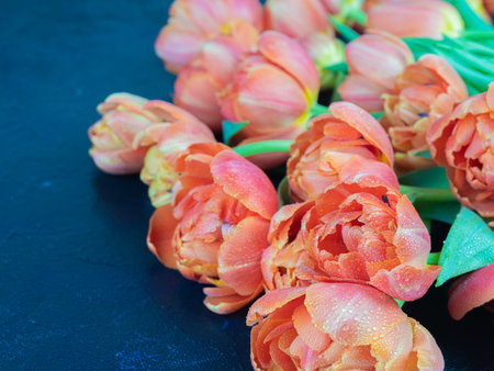 red, bright tulips. Big bouquet on a black background, . Congratulations concept.の写真素材