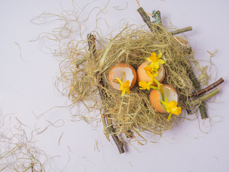 There is an egg shell in the nest. Daffodils spring flowers in eggshell. Easter concept on a light background. happy easter creative card.の写真素材