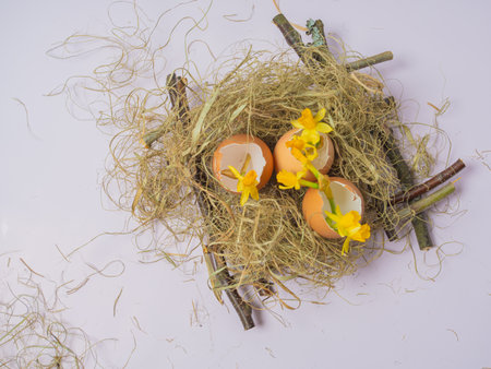 There is an egg shell in the nest. Daffodils spring flowers in eggshell. Easter concept on a light background. happy easter creative card.の写真素材