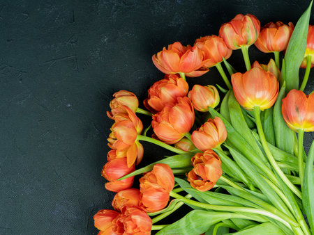 red, bright tulips. A large bouquet on a black background, there is a place for text. Congratulations concept.の写真素材