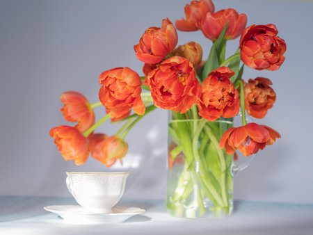 Scarlet, red tulips in a vase and a white cup of coffee. The concept of congratulations and peace. There is space for textの写真素材