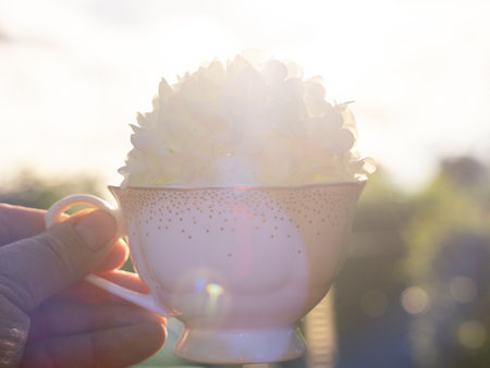 In his hand is a white cup with flowers in it. Ornamental viburnum, snow globeの写真素材