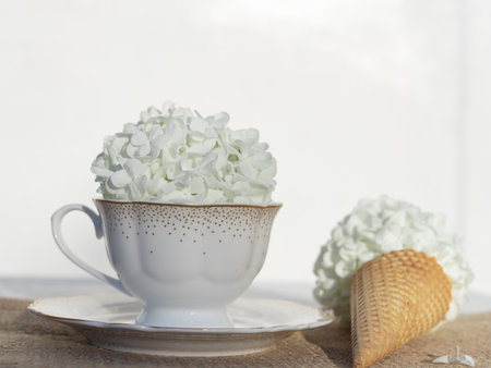 cup and decorative viburnum, snow globe.Close-upの写真素材