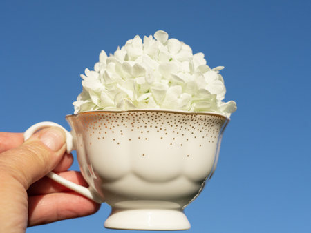 In his hand is a white cup with flowers in it. Ornamental viburnum, snow globeの写真素材