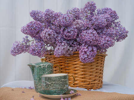 A bouquet of lilacs, white viburnum in a basket on a table in the garden, white backgroundの写真素材