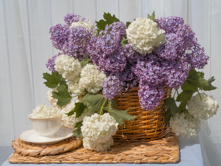 A bouquet of lilacs, white viburnum in a basket and a tea set. on the table in the garden, the background is whiteの写真素材