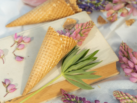 An old book and waffle cones with lupine flowers. The concept of holidays. top view.の写真素材