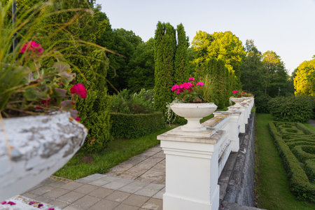 Vintage flowerpots with pink pelargoniums in Toila Oru Park, Estonia. Walking in the park on a summer day.の写真素材