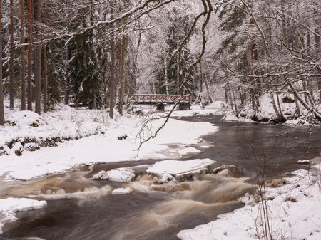 Winter landscape with a river in the forest and a wooden bridge.の写真素材