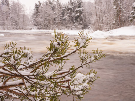 Frozen winter river with snow covered trees and ice. View of the riverの写真素材