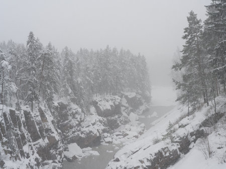 A snowy canyon with snow-covered rocks and trees in a winter forest. A soft mist envelops the landscape, creating an atmosphere of northern winter nature.の写真素材