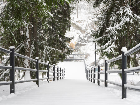 A snow-covered staircase surrounded by snow-covered fir trees. In the distance, a majestic snow-filled canyon unfolds ahead, evoking a sense of winter solitude and peace.の写真素材