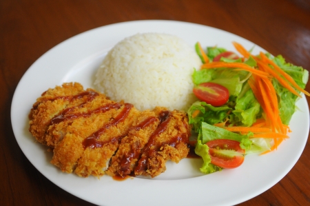 Rice deep-fried pork with saladの写真素材