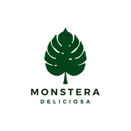 monstera deliciosa   icon illustrationのイラスト素材