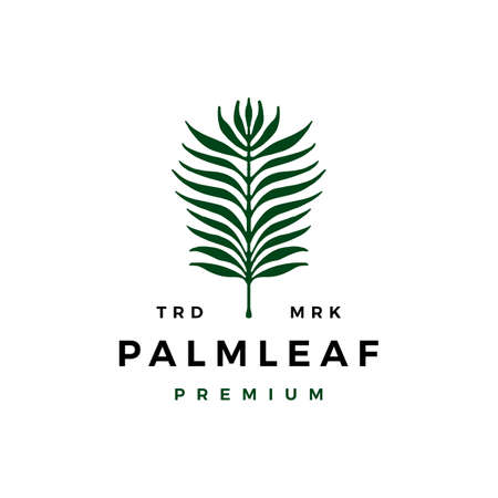 palm leaf   icon illustrationのイラスト素材