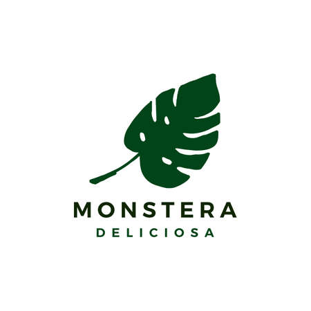 monstera deliciosa  icon illustrationのイラスト素材