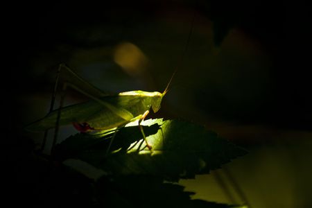 Spotlight!の写真素材