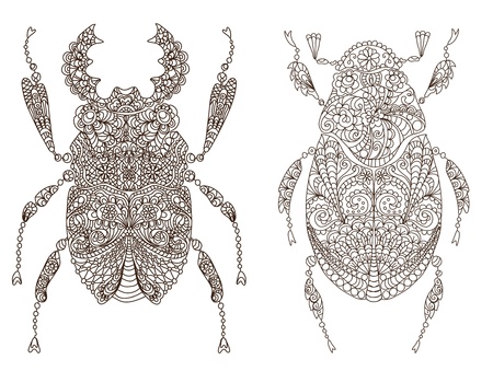 two beautiful bugs, illustrationのイラスト素材
