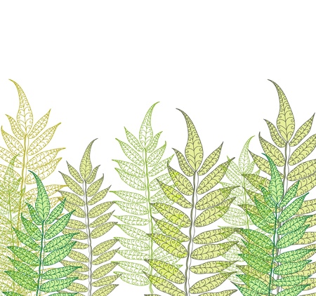 Card with fern, beautiful illustrationのイラスト素材
