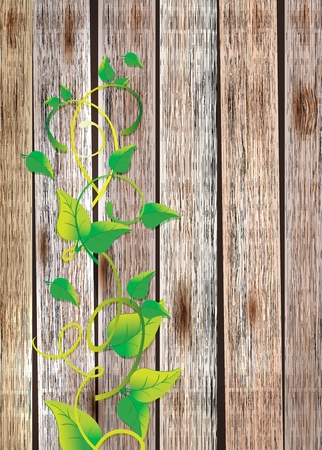 wood texture background with green plant, beautiful illustrationのイラスト素材