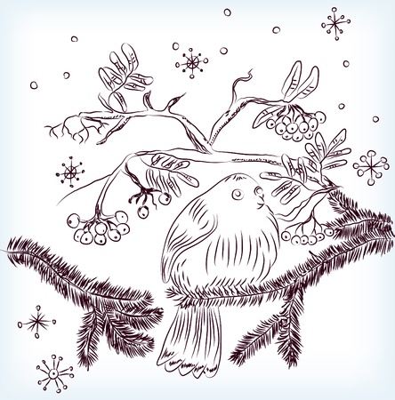 bullfinch and mountain ash background, beautiful illustrationのイラスト素材