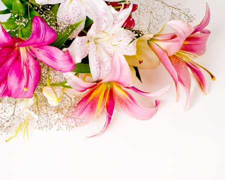 white and pink lily flowers backgroundの写真素材