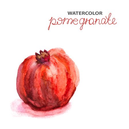 Background with watercolor pomegranate, natural illustrationのイラスト素材