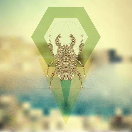 Hipster old fashion background with bug and geometric elementsのイラスト素材