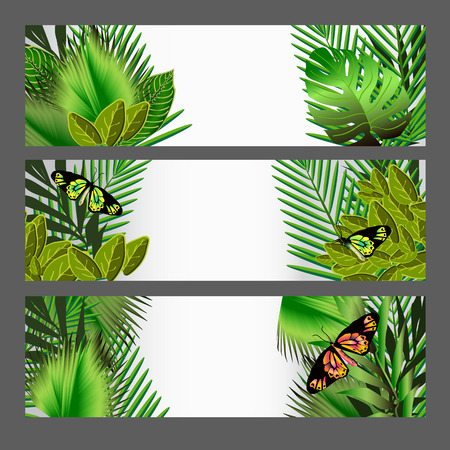 Tropical green leaves. Floral design background. Bright color vibrant illustration, setのイラスト素材