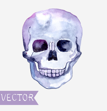 Watercolor skull background, beautiful illustrationのイラスト素材