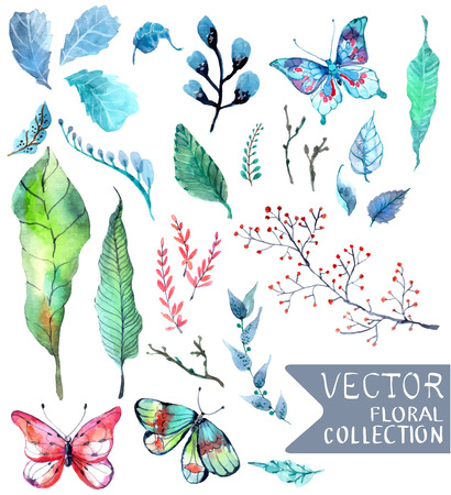 Watercolor flowers collection for different design with natural floral elements and butterflyの写真素材