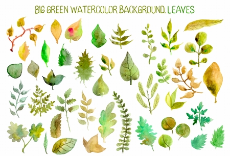 Watercolor leaves collection for different designの写真素材