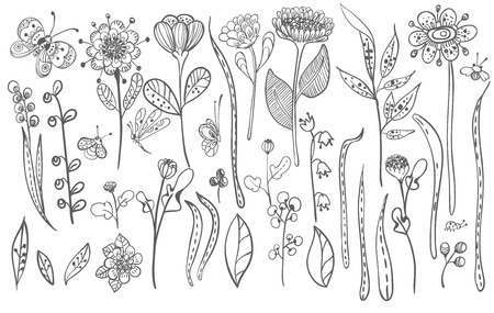 Beautiful doodle grass and flowers silhouette, natural collectionのイラスト素材