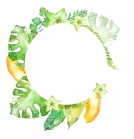 Watercolor green exotic plants and fruits, beautiful  backgroundの写真素材