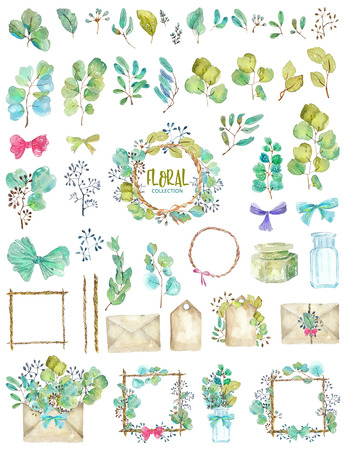 Set of watercolor green plant elements and vintage detailsの写真素材