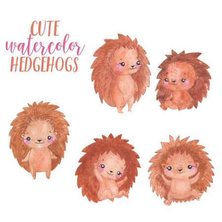 Watercolor hedgehogs setの写真素材