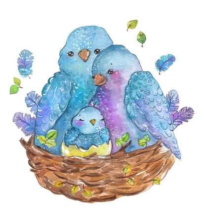 Watercolor birds family mother, father and chick in nest over whiteの写真素材