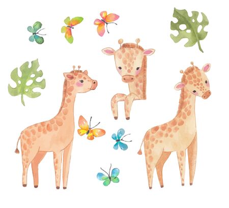 Africa watercolor giraffe, Safari animal, Watercolor cute animal, monstera leaf, butterfly, for wallpaper, print,packaging, invitations, Baby shower, patterns designのイラスト素材