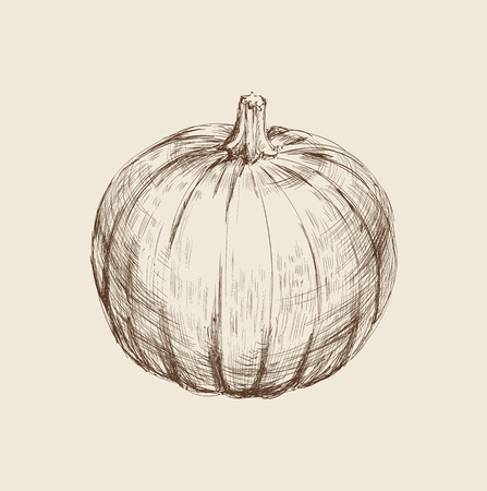 Pumpkin Hand Drawing Vector Illustration. Pumpkin Hand Drawing Vector Illustration.のイラスト素材