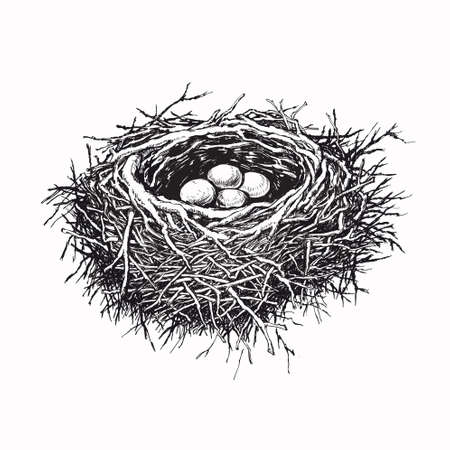 Birds Nest with Eggs Hand Drawn Vector Illustrationのイラスト素材