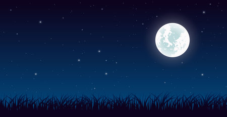 Blue dark night sky with lot of shiny stars and grass ground silhouette backgroundのイラスト素材