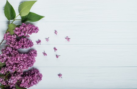 Spring flowers. Lilac flowers on white wooden background. Top view, flat layの写真素材