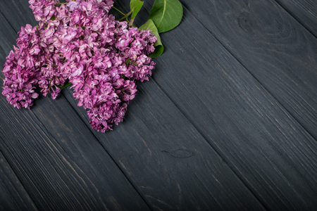 The beautiful lilac flowers on a dark wooden backgroundの写真素材