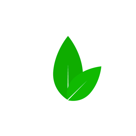 Leafs from the tree. Flat design. Vector illustration. Fashionable vector symbol for website design, web button, mobile application.のイラスト素材