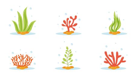 Set of cartoon underwater plants and creatures. Vector isolated corals and algae.のイラスト素材
