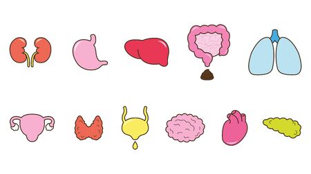 Set of human internal organs. Flat style. Vector illustrationのイラスト素材