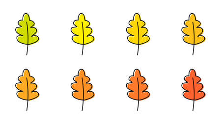 Set of autumn leaves of different trees isolated on white background. Leaves of different colors are hand-drawn. Vector illustrationのイラスト素材