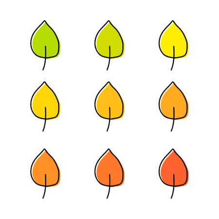 Set of autumn leaves of different trees isolated on white background. Leaves of different colors are hand-drawn. Vector illustrationのイラスト素材