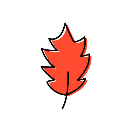 Hand-drawn autumn leaf isolated on white background. Vector illustrationのイラスト素材