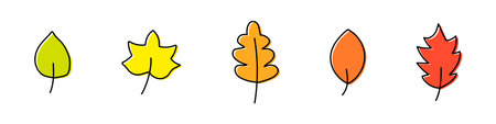 Set of autumn leaves of different trees isolated on white background. Leaves of different colors are hand-drawn. Vector illustrationのイラスト素材
